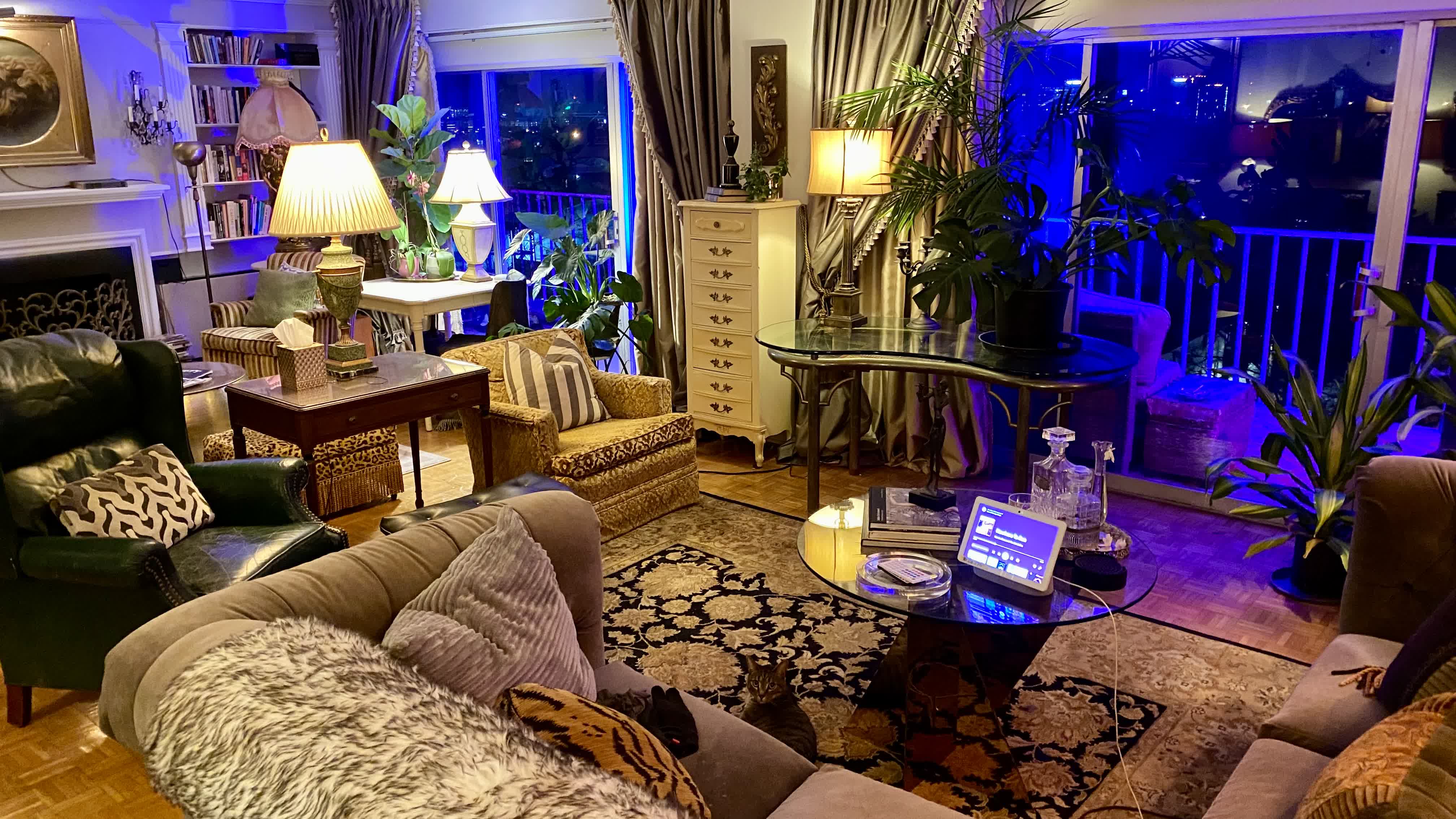 Central Gardens Panoramic Evening Living Salon with Glowing Fireplace, Sleeping Cat & Night Skyline