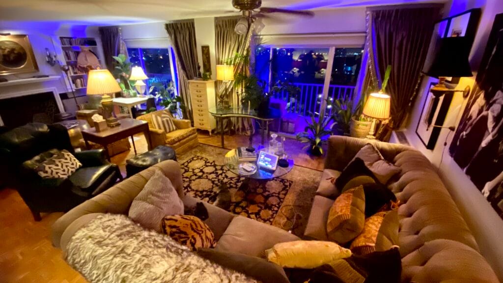 Central Gardens Penthouse Interior Design | Memphis Designer 5 Close-up of custom designed pillows and curated textiles in a Midtown Memphis residence.