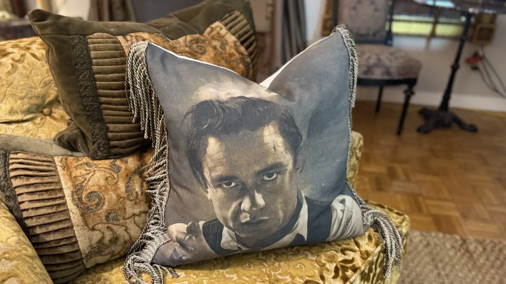 Styled living room vignette displaying a designer graphic throw pillow.