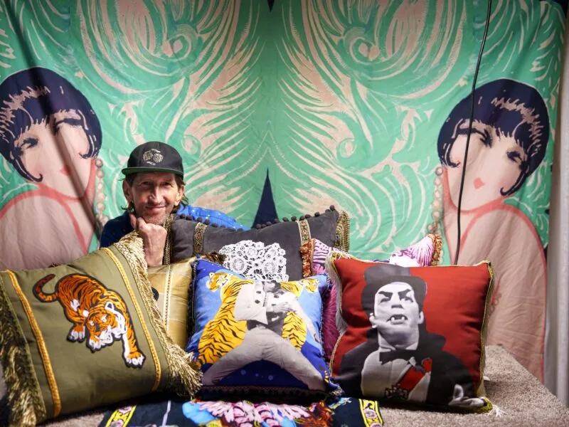 A professionally styled collection of custom throw pillows Memphis homeowners love, showcasing luxury fabric patterns and velvet motifs on a living room sofa.